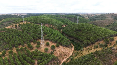 Quinta T5 para Venda em Boavista dos Pinheiros