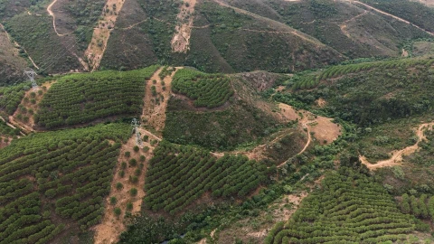 Quinta T5 para Venda em Boavista dos Pinheiros