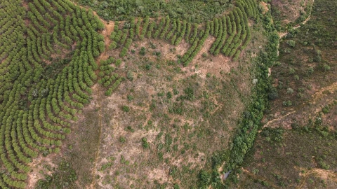 Quinta T5 para Venda em Boavista dos Pinheiros
