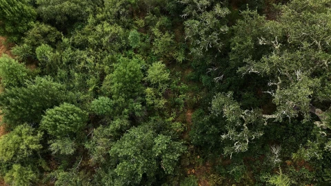 Quinta T5 para Venda em Boavista dos Pinheiros