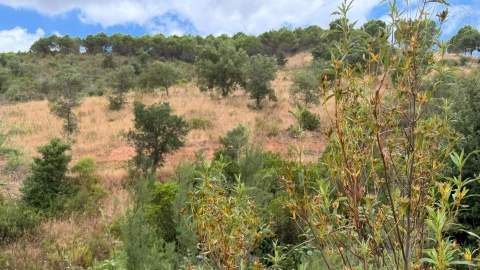 Quinta T5 para Venda em Boavista dos Pinheiros