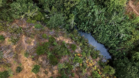Quinta T5 para Venda em Boavista dos Pinheiros