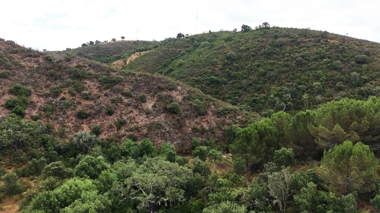 Quinta T5 para Venda em Boavista dos Pinheiros Foto 55