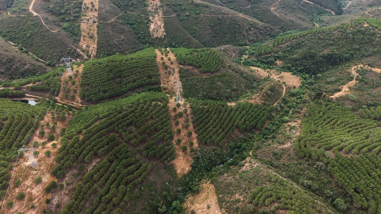 Quinta T5 para Venda em Boavista dos Pinheiros Foto 35