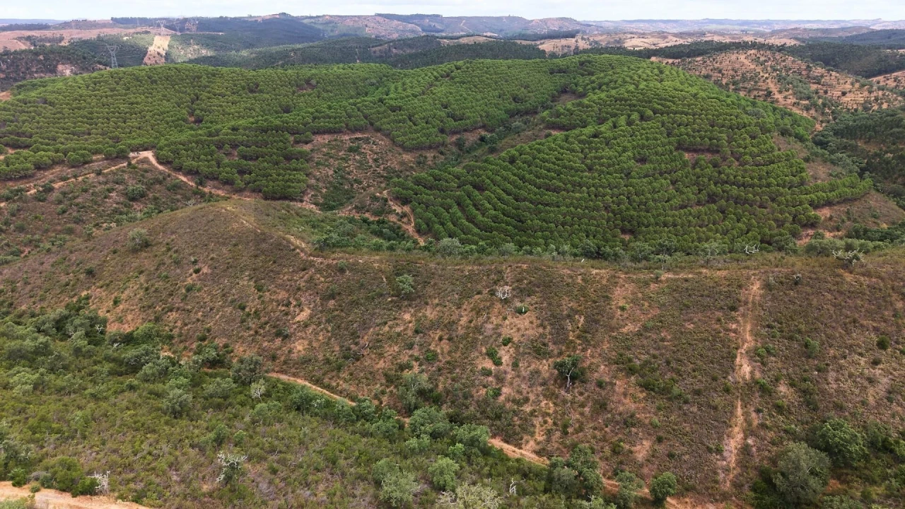 Quinta T5 para Venda em Boavista dos Pinheiros Foto 102