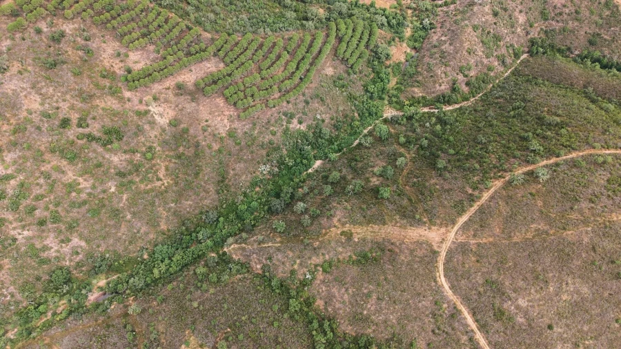 Quinta T5 para Venda em Boavista dos Pinheiros Foto 9