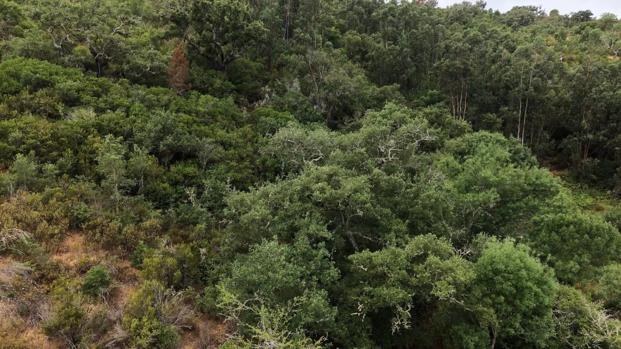 Quinta T5 para Venda em Boavista dos Pinheiros Foto 51