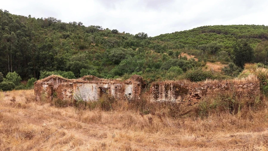 Quinta T5 para Venda em Boavista dos Pinheiros Foto 92