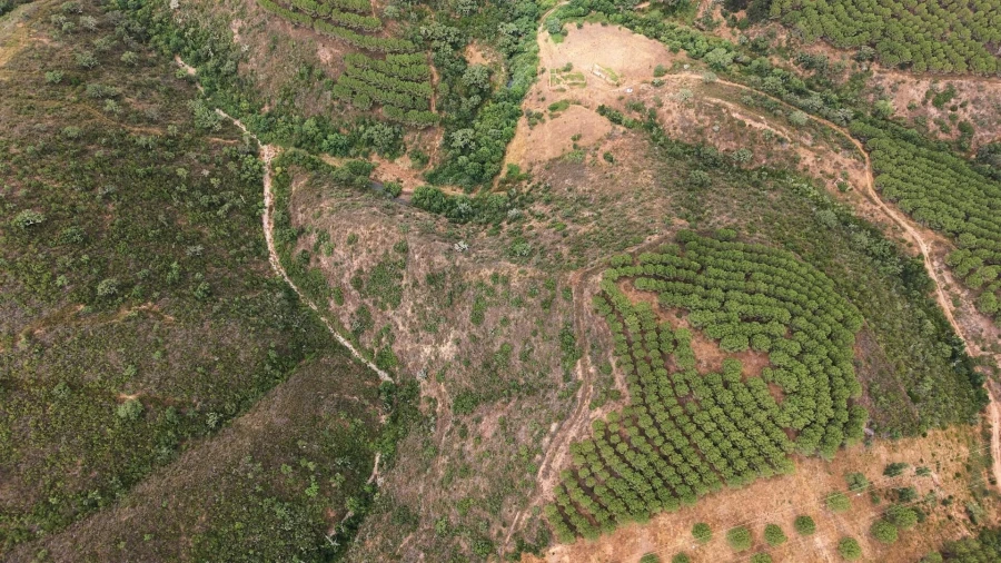 Quinta T5 para Venda em Boavista dos Pinheiros Foto 5