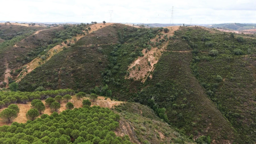 Quinta T5 para Venda em Boavista dos Pinheiros Foto 74