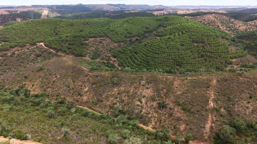 Quinta T5 para Venda em Boavista dos Pinheiros Foto 102