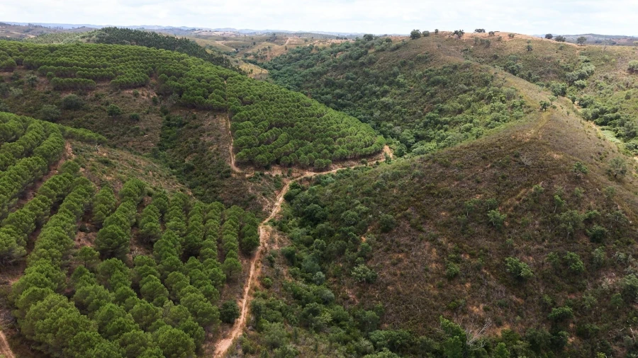 Quinta T5 para Venda em Boavista dos Pinheiros Foto 104
