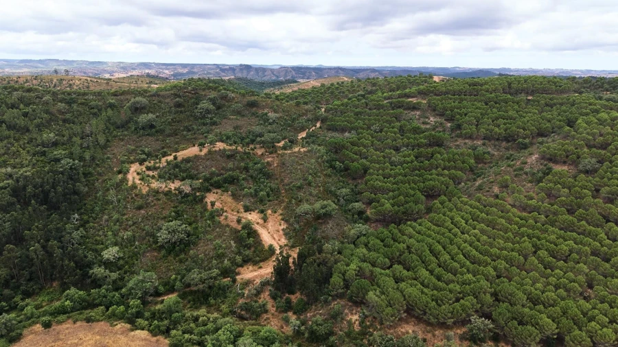 Quinta T5 para Venda em Boavista dos Pinheiros Foto 65