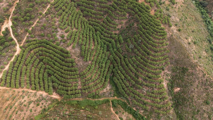 Quinta T5 para Venda em Boavista dos Pinheiros Foto 12