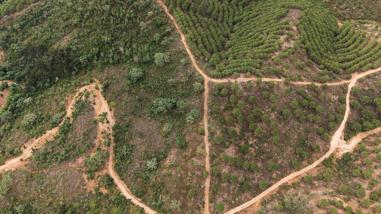 Quinta T5 para Venda em Boavista dos Pinheiros Foto 16
