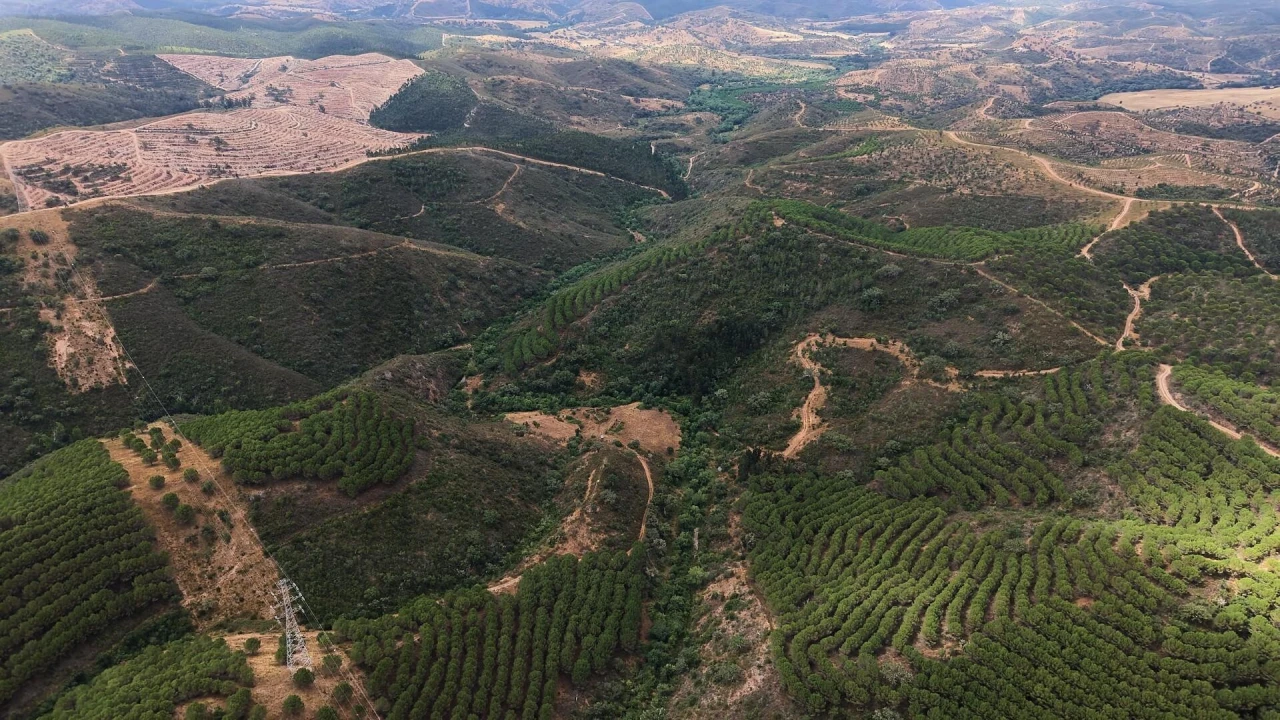 Quinta T5 para Venda em Boavista dos Pinheiros Foto 41