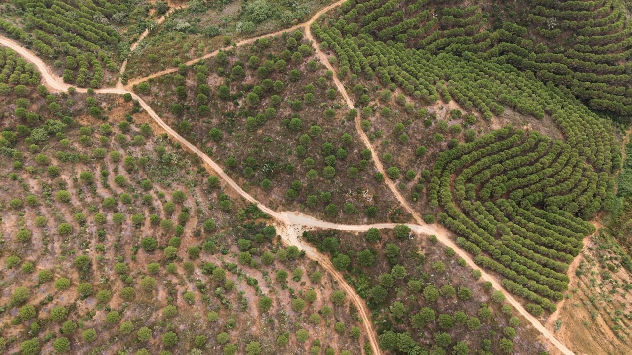 Quinta T5 para Venda em Boavista dos Pinheiros Foto 14
