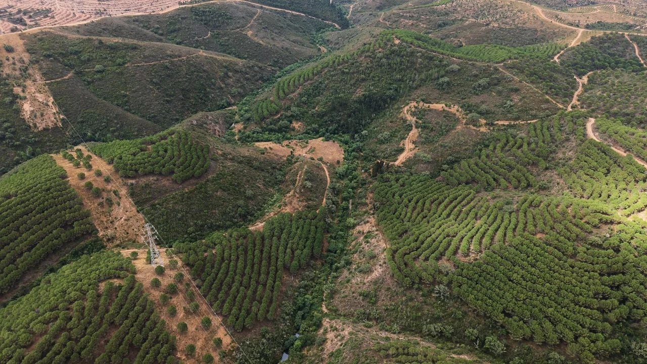 Quinta T5 para Venda em Boavista dos Pinheiros Foto 39