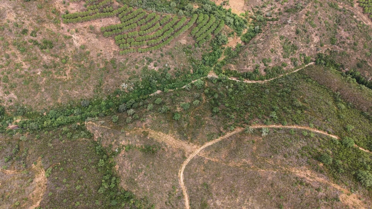 Quinta T5 para Venda em Boavista dos Pinheiros Foto 8