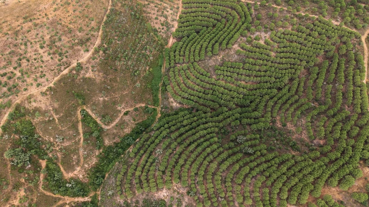 Quinta T5 para Venda em Boavista dos Pinheiros Foto 21