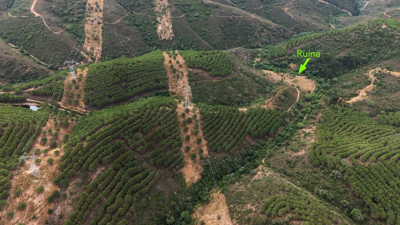 Quinta T5 para Venda em Boavista dos Pinheiros Foto 34