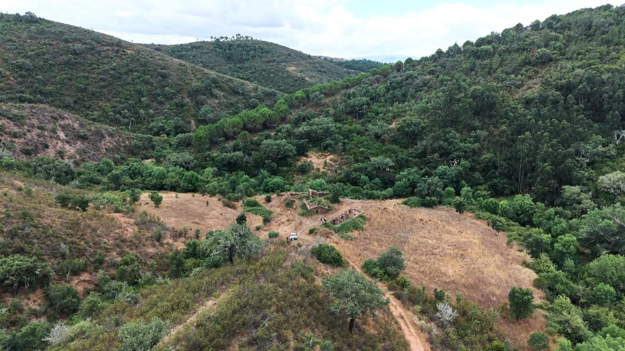 Quinta T5 para Venda em Boavista dos Pinheiros Foto 64