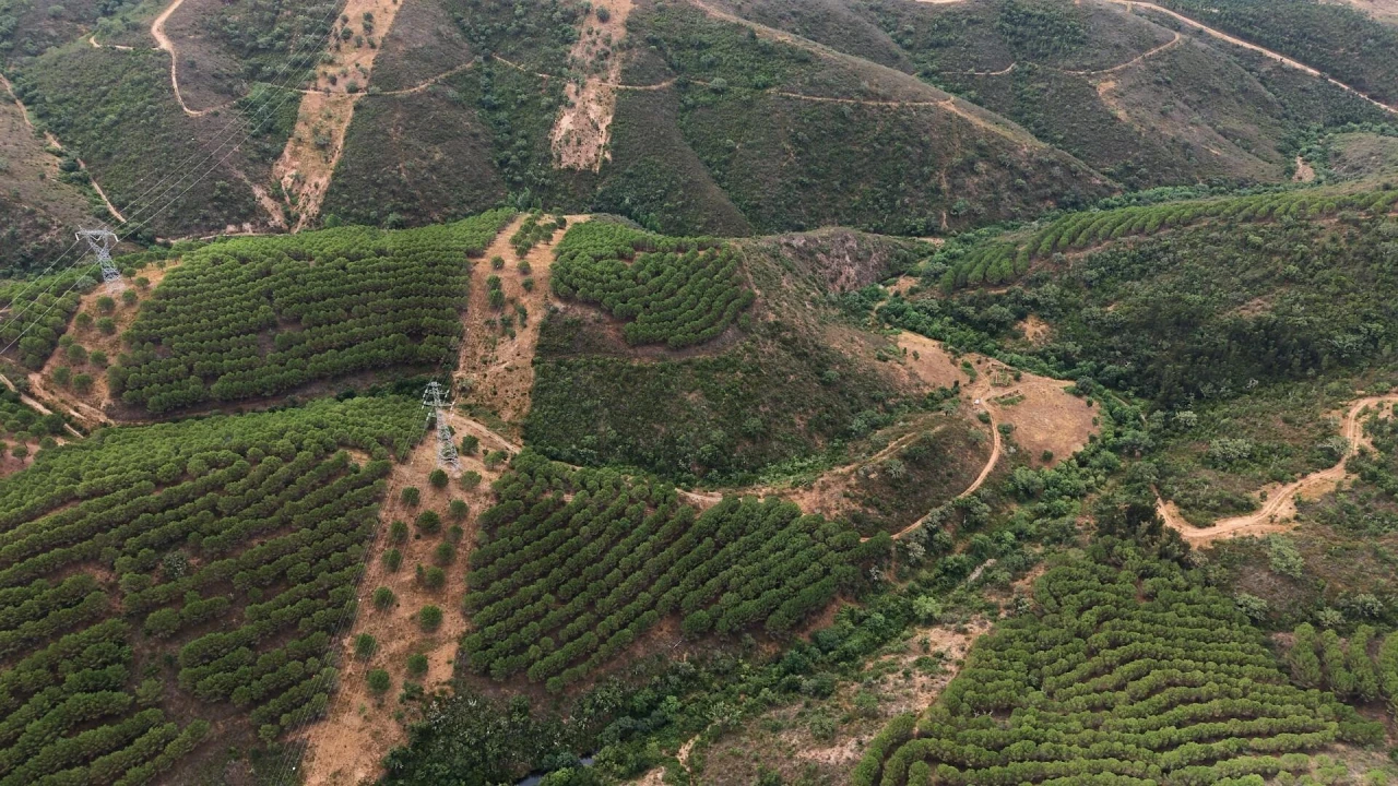 Quinta T5 para Venda em Boavista dos Pinheiros Foto 33
