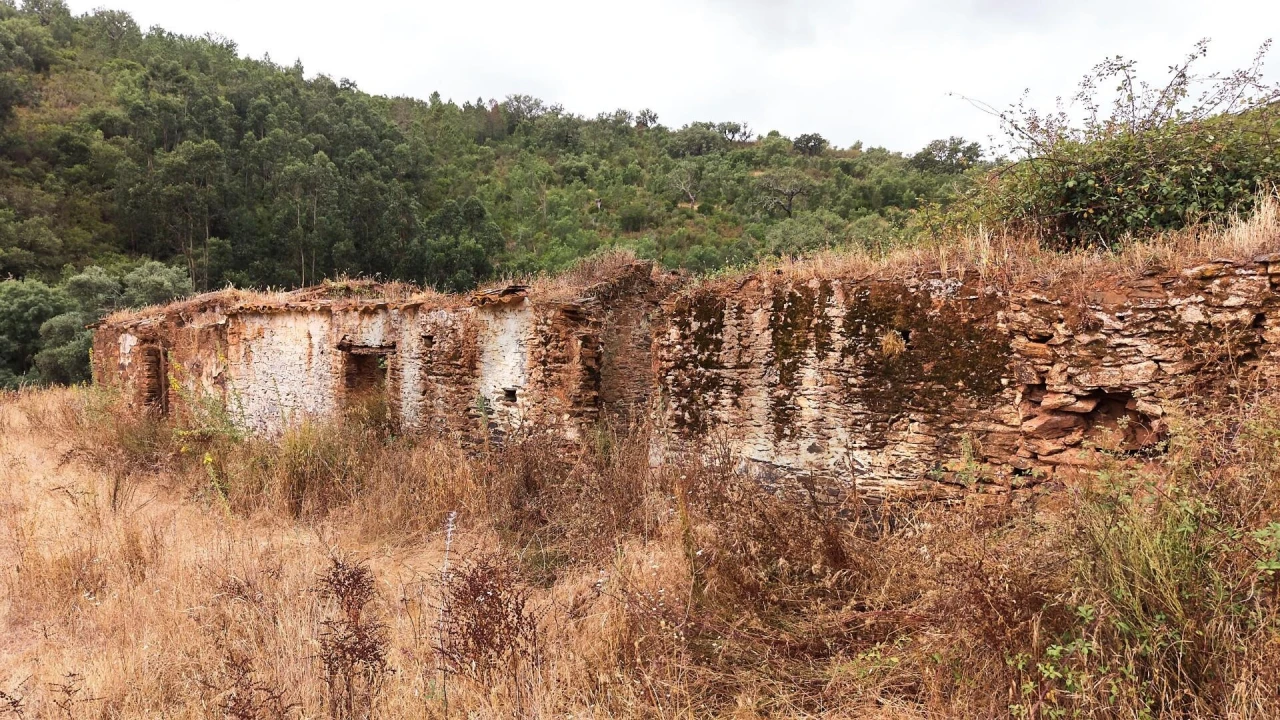 Quinta T5 para Venda em Boavista dos Pinheiros Foto 90