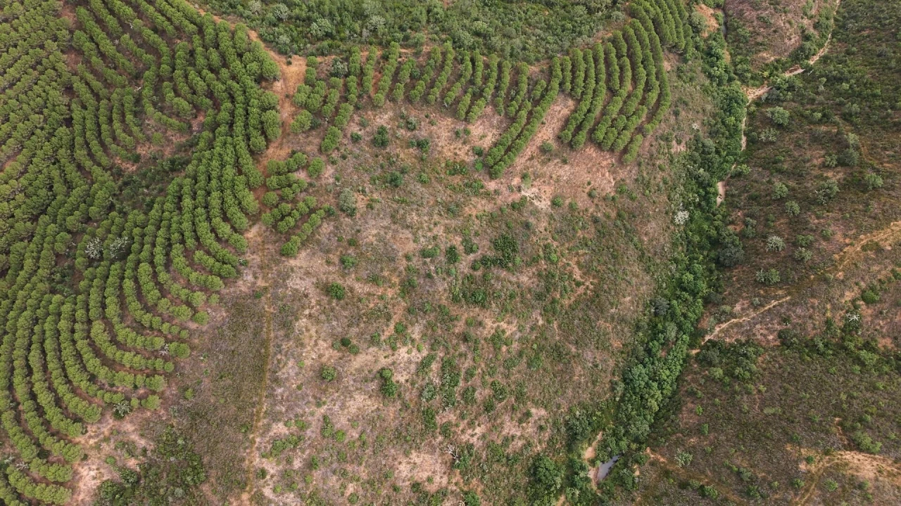Quinta T5 para Venda em Boavista dos Pinheiros Foto 10
