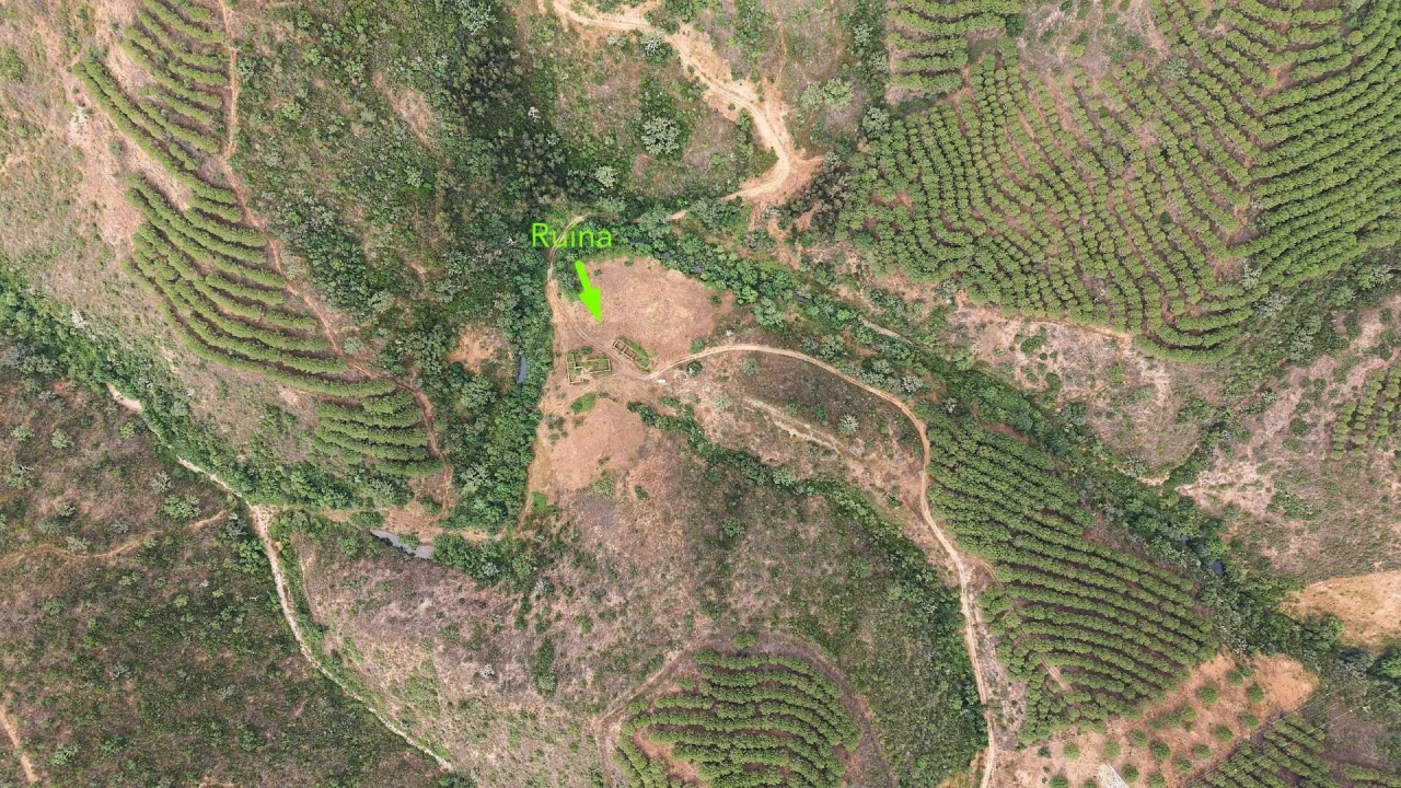 Quinta T5 para Venda em Boavista dos Pinheiros Foto 2