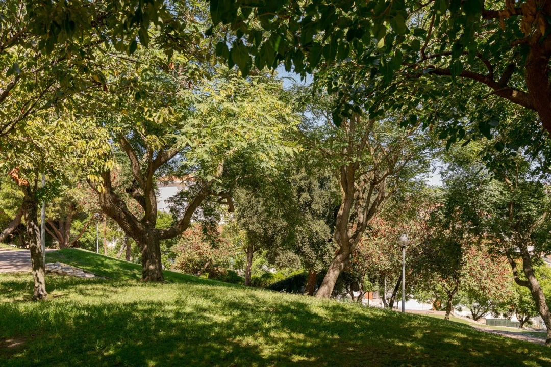 Apartamento T3 para Venda em Póvoa de Santo Adrião e Olival Basto Foto 23