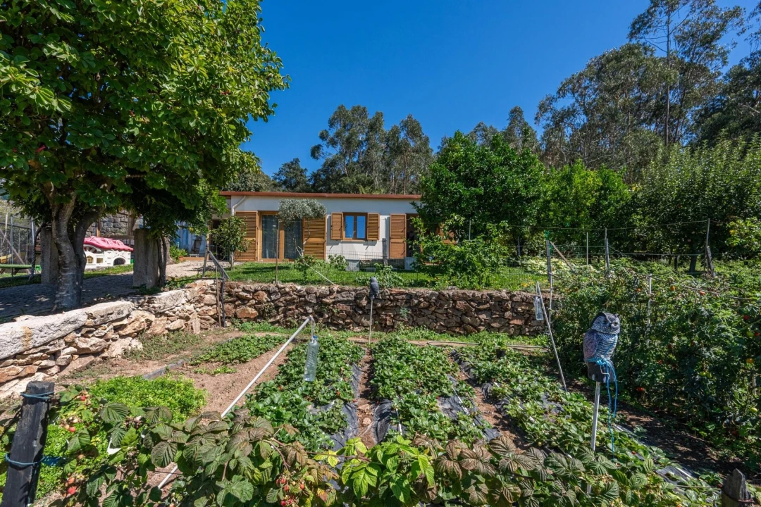 Quinta T3 para Venda em Folgosa Foto 18