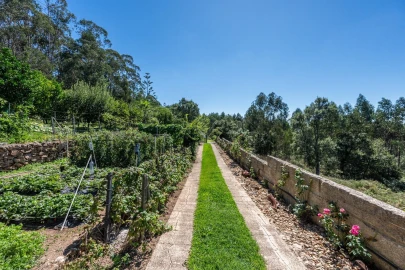 Quinta T3 para Venda em Folgosa