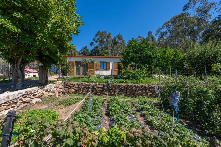 Quinta T3 para Venda em Folgosa Foto 18