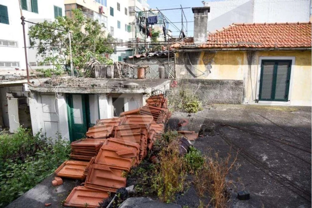 Prédio para Venda em Imaculado Coração de Maria Foto 14