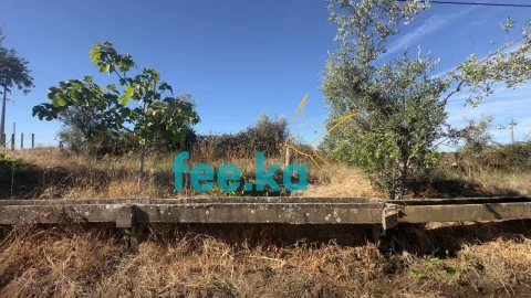 Terreno para Venda em Ladoeiro