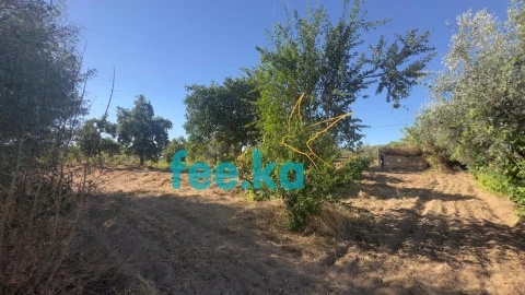 Terreno para Venda em Ladoeiro
