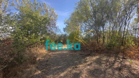 Terreno para Venda em Ladoeiro