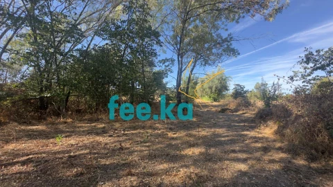 Terreno para Venda em Ladoeiro