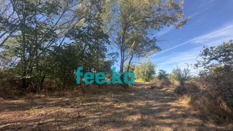 Terreno para Venda em Ladoeiro