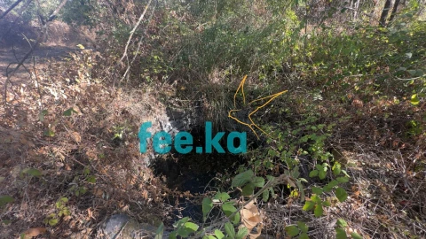 Terreno para Venda em Ladoeiro