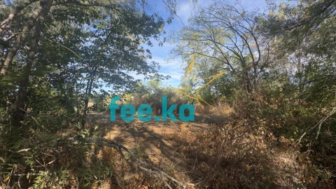 Terreno para Venda em Ladoeiro