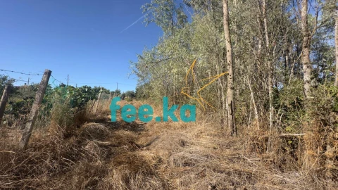 Terreno para Venda em Ladoeiro