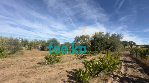 Terreno para Venda em Ladoeiro