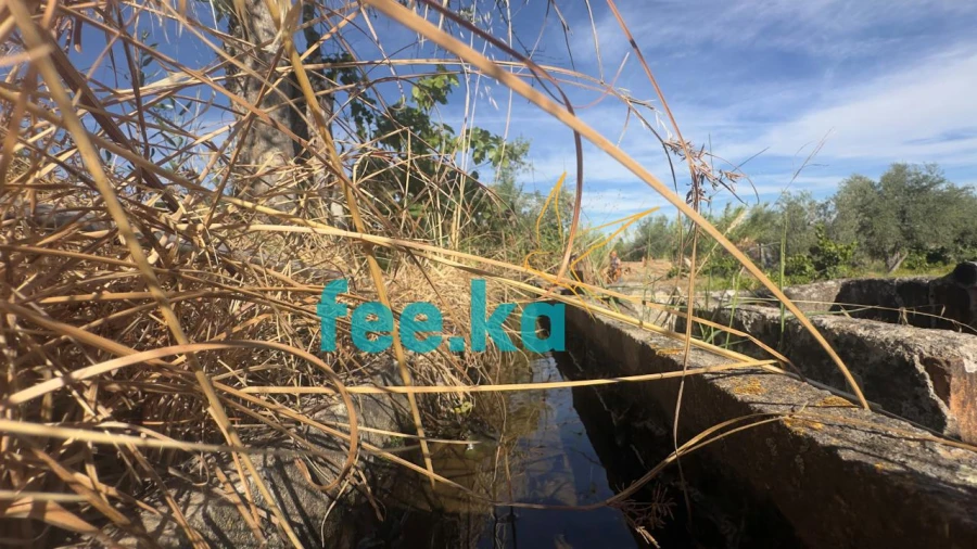 Terreno para Venda em Ladoeiro Foto 4