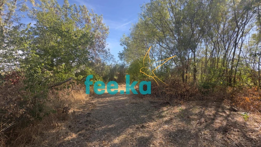 Terreno para Venda em Ladoeiro Foto 19