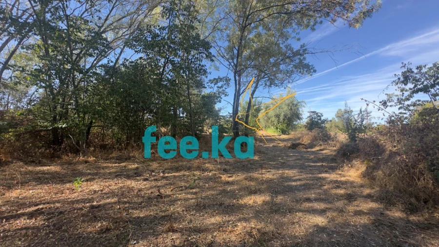 Terreno para Venda em Ladoeiro Foto 20