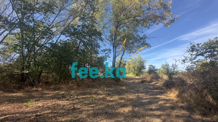 Terreno para Venda em Ladoeiro Foto 21