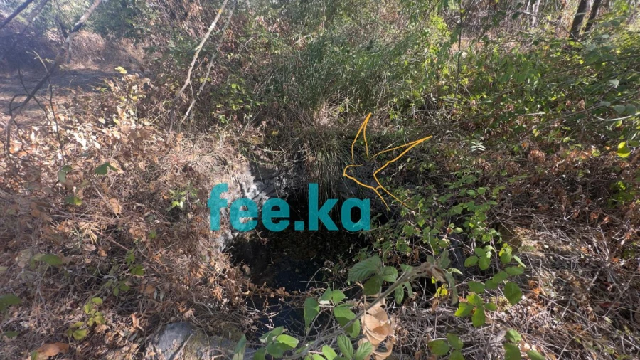 Terreno para Venda em Ladoeiro Foto 22