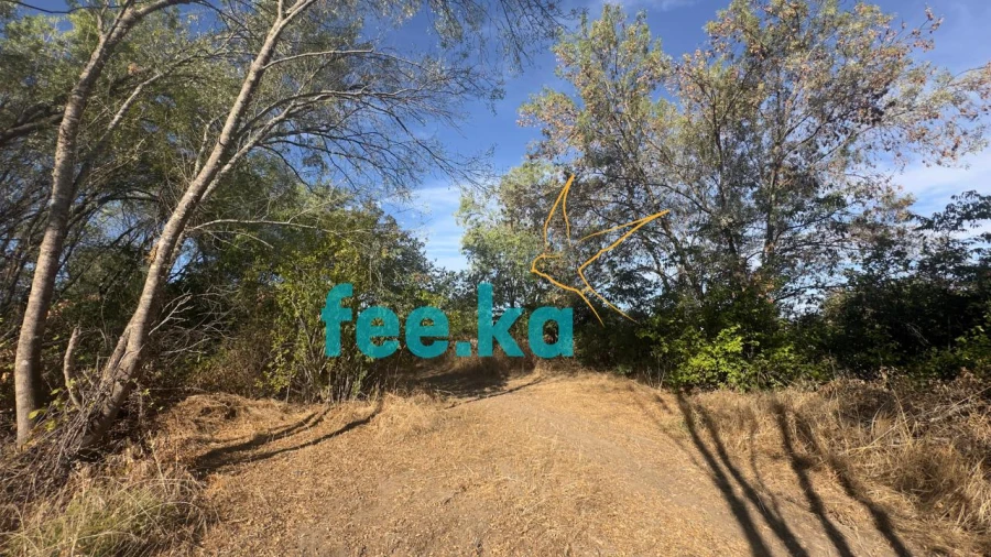 Terreno para Venda em Ladoeiro Foto 30